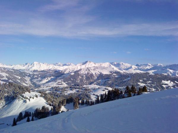 Hotel Saanerhof Gstaad Dış mekan fotoğraf